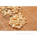 Dry fruit pine nut kernel